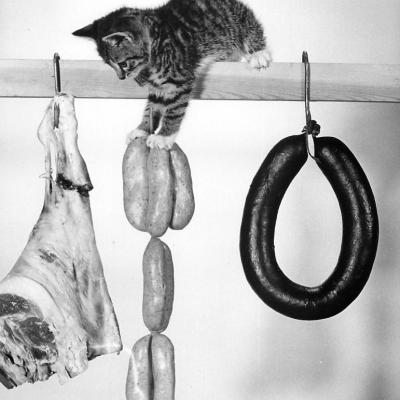 CHAT ET CHARCUTERIE BY RON SPILLMAN 