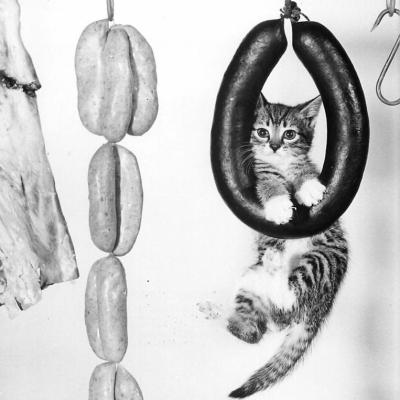 CHAT ET CHARCUTERIE BY RON SPILLMAN 