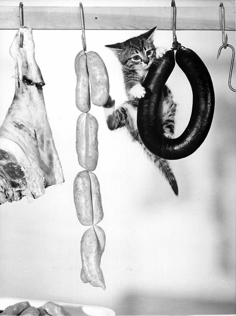 CHAT ET CHARCUTERIE BY RON SPILLMAN 