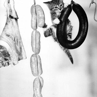 CHAT ET CHARCUTERIE BY RON SPILLMAN 