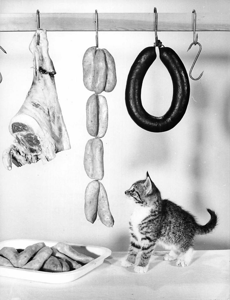 CHAT ET CHARCUTERIE BY RON SPILLMAN 