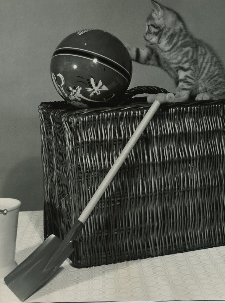 Chat au ballon et chute by Spillman & Ramsay LTD_0002