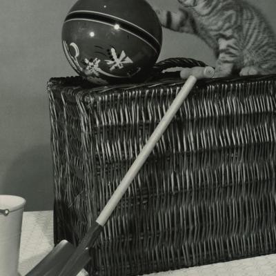 Chat au ballon et chute by Spillman & Ramsay LTD_0002