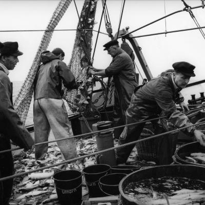 Pêcheurs Mer du Nord D.HAUSWALD 1965