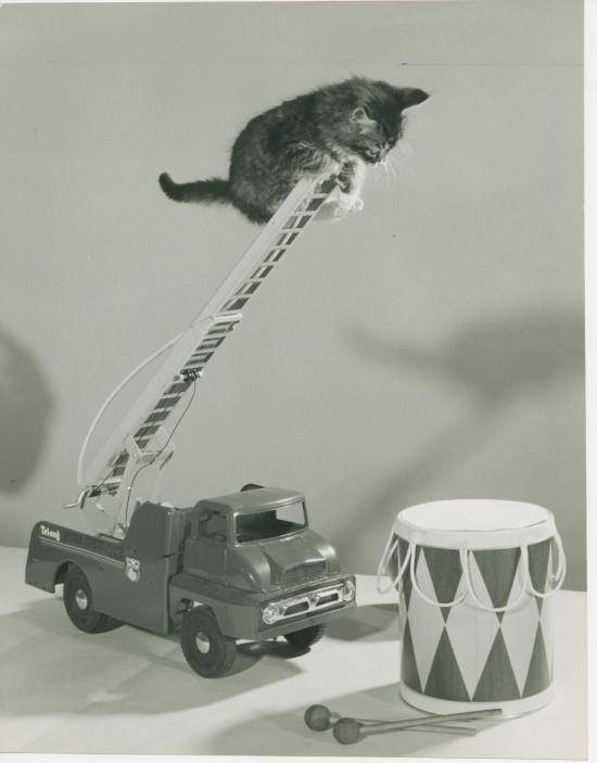 Chat et tambour, Copyright Spillman et Ramsay-circa 1955