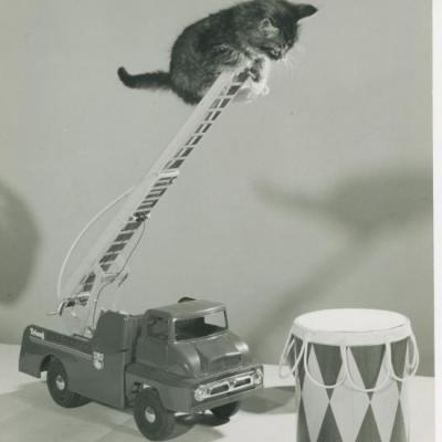 Chat et tambour, Copyright Spillman et Ramsay-circa 1955