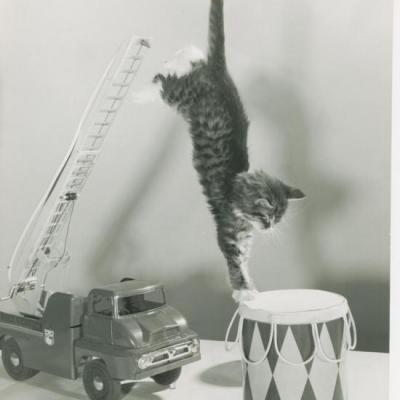 Chat et tambour, Copyright Spillman et Ramsay circa 1955