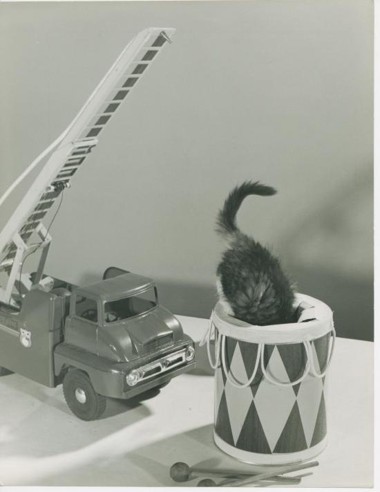 Chat et tambour, Copyright Spillman et Ramsay-circa 1955