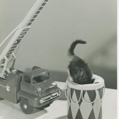 Chat et tambour, Copyright Spillman et Ramsay-circa 1955