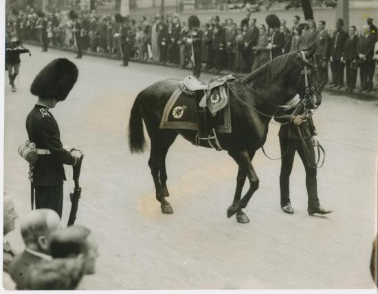 Les Funerailles de Lord Plumer à Londres .Le cortège devant Westminste