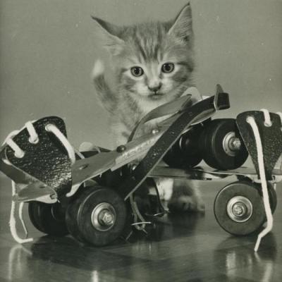 Chat et Roller, Copyright Spillman et Ramsay-circa 1955
