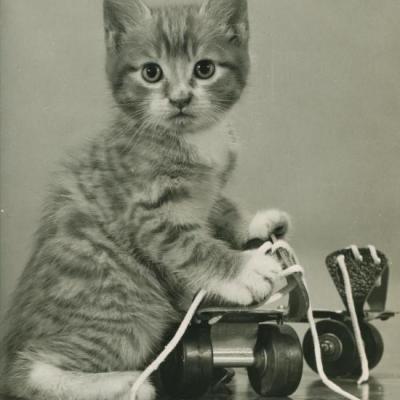 Chat et Roller, Copyright Spillman et Ramsay- Années 55