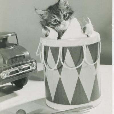 Chat et tambour, CopyrightSpillman et Ramsay-circa 1955