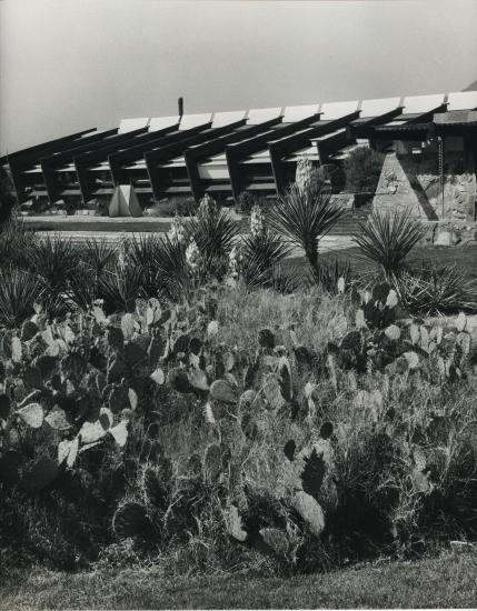 Franck Lloyd Wright. Copyright Paul Almasy