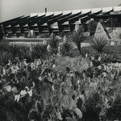Franck Lloyd Wright. Copyright Paul Almasy