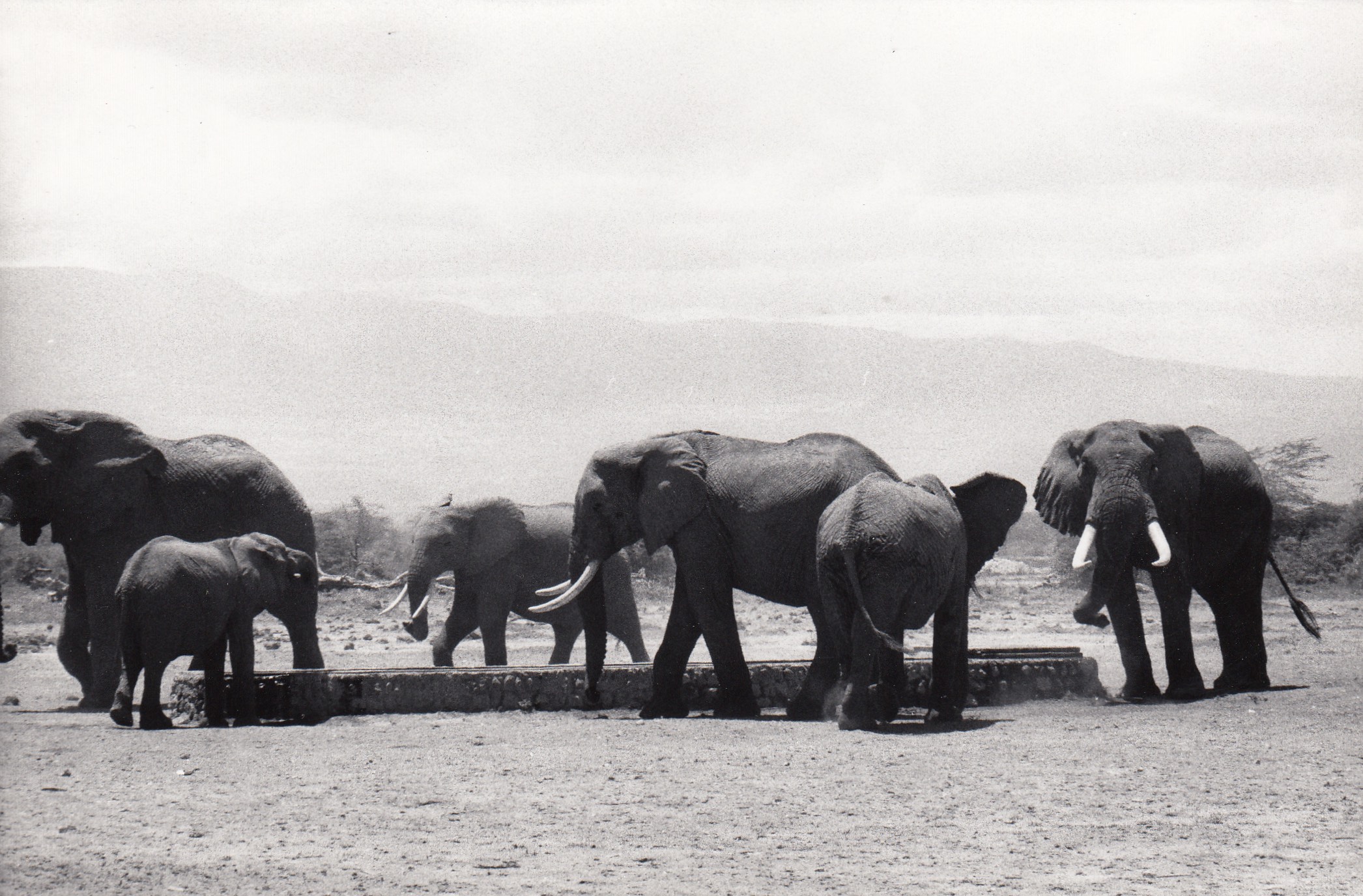 KENYA ©MANJA OFFERHAUS 1976