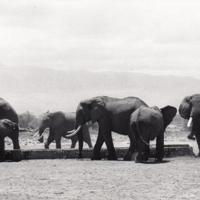 KENYA ©MANJA OFFERHAUS 1976