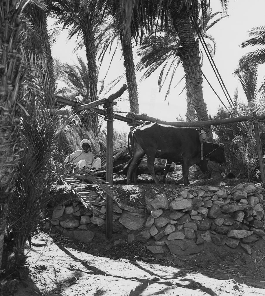 ©Paul Almasy Sans titre