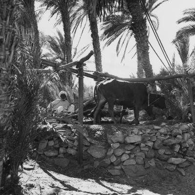 ©Paul Almasy Sans titre