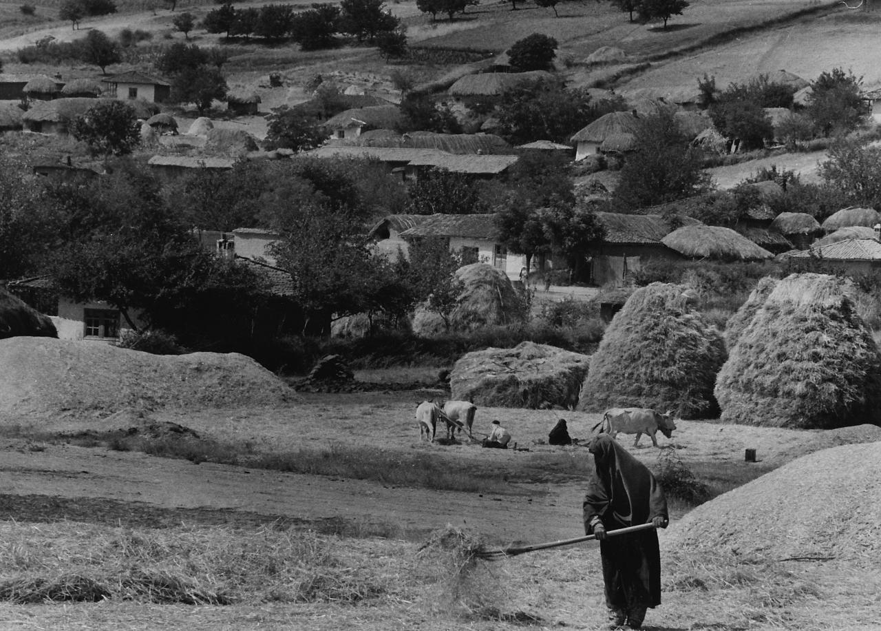 ©Paul Almasy Sans titre