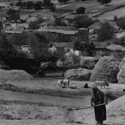 ©Paul Almasy Sans titre