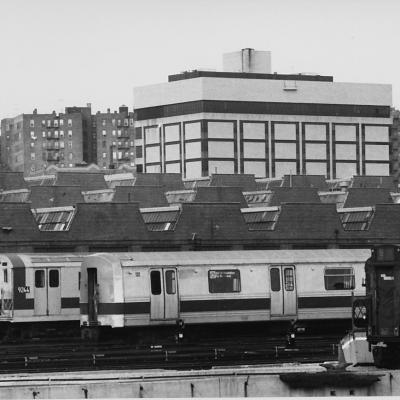 NEW YORK 1979 COPYRIGHT MANJA OFFERHAUS