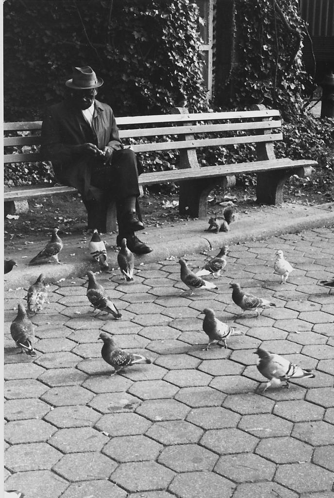photo série New York_0074