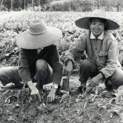 Agriculture CHINE 1977 BY WEREK_0016